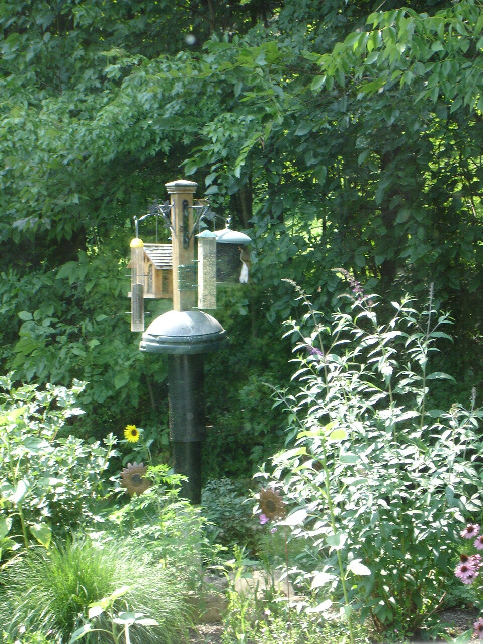 Birdfeeders in flowerbed