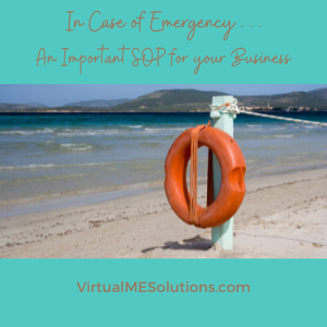 In Case of Emergency . . . An Important SOP for your Business, Virtual ME Solutions (image of the beach with a life ring hanging on a post)